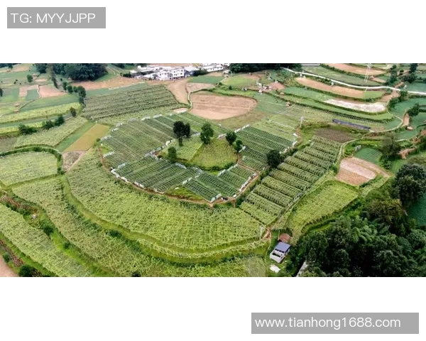 成都网球队的蜕变与成长：从传统到现代的网球纪实之旅